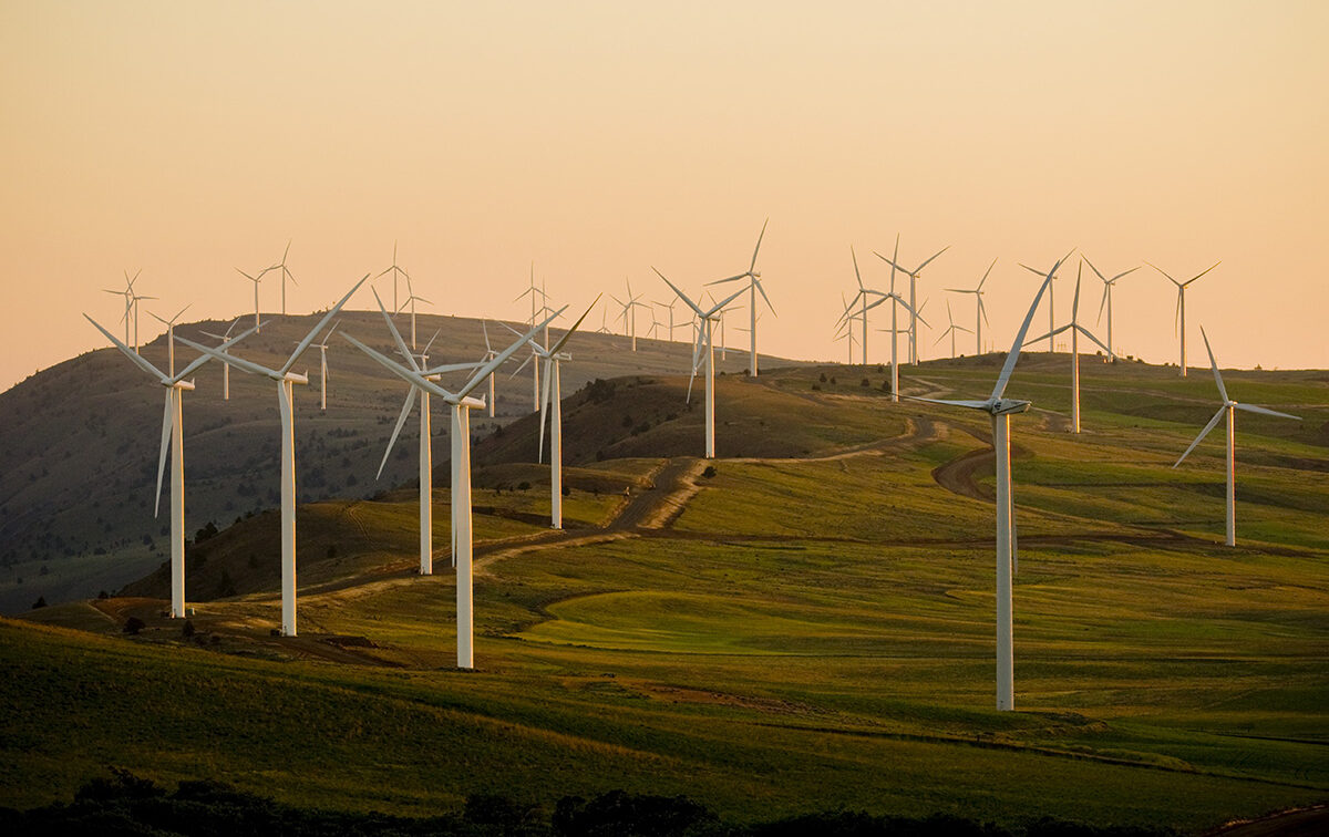 Wind turbines sprawl across green, hilly terrain.