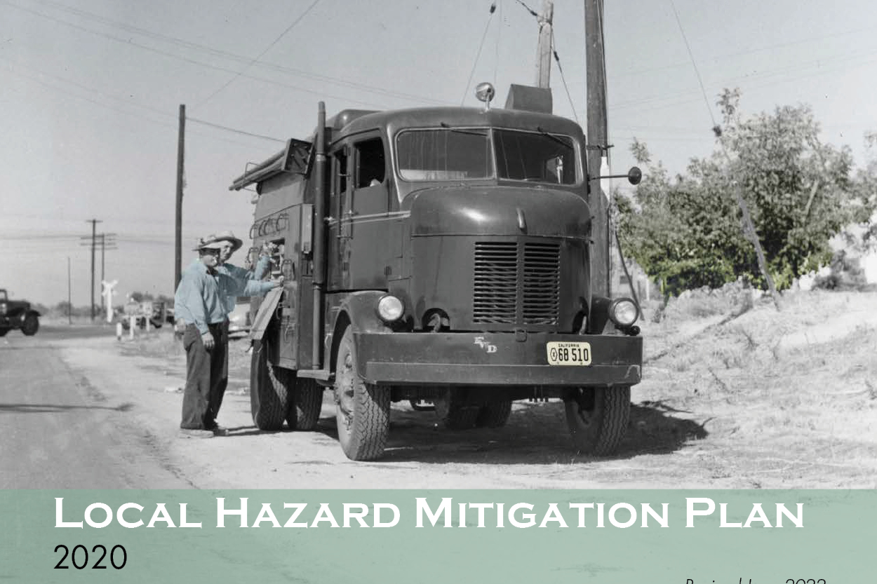Local Hazard Mitigation plan 2020