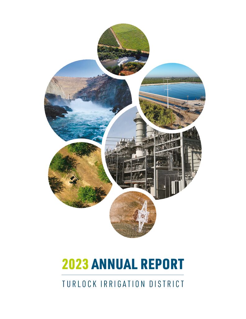 thumbnail of TID_2023 Annual Report